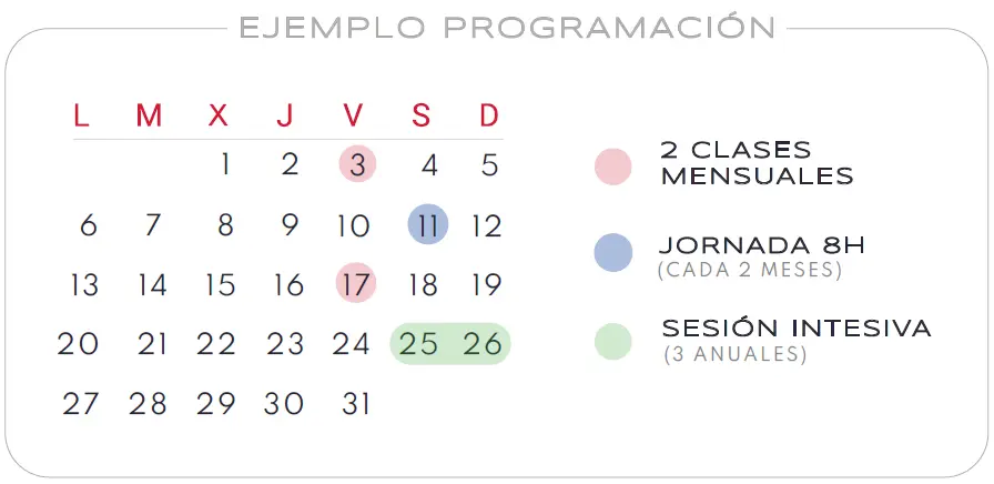 Ejemplo Programacion Academia